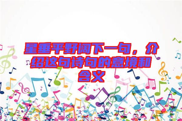 星垂平野闊下一句，介紹這句詩句的意境和含義