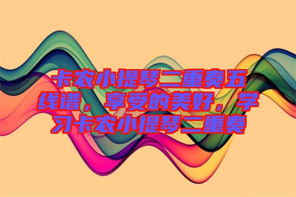 卡農小提琴二重奏五線譜，享受的美好，學習卡農小提琴二重奏