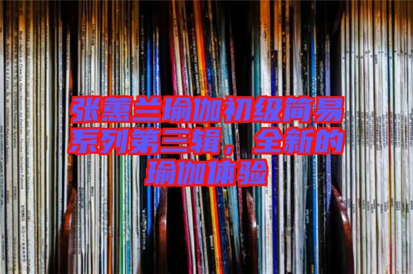 張蕙蘭瑜伽初級簡易系列第三輯，全新的瑜伽體驗