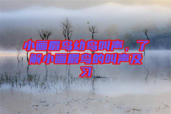小畫眉鳥幼鳥叫聲，了解小畫眉鳥的叫聲及習
