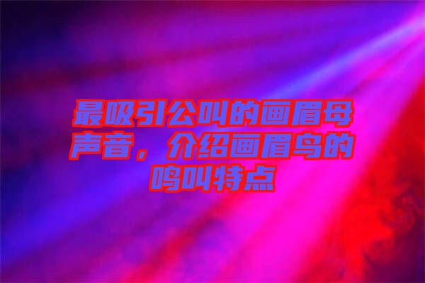 最吸引公叫的畫眉母聲音，介紹畫眉鳥的鳴叫特點