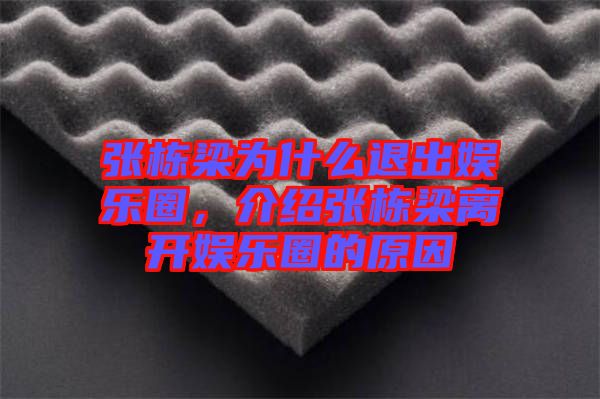 張棟梁為什么退出娛樂圈，介紹張棟梁離開娛樂圈的原因