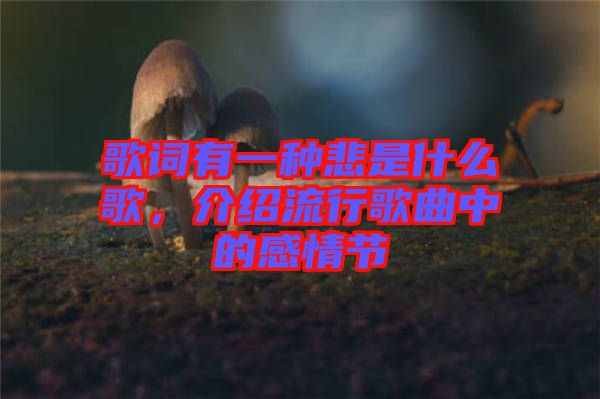 歌詞有一種悲是什么歌，介紹流行歌曲中的感情節(jié)