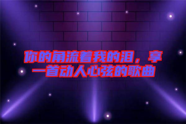 你的角流著我的淚，享一首動人心弦的歌曲