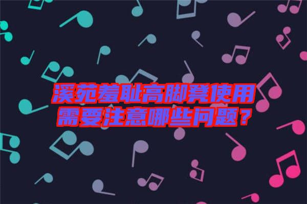 溪苑羞恥高腳凳使用需要注意哪些問題？
