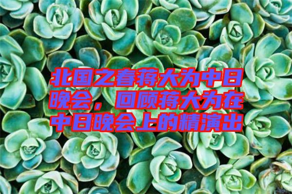 北國之春蔣大為中日晚會(huì)，回顧蔣大為在中日晚會(huì)上的精演出