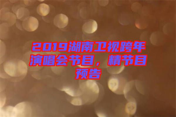 2019湖南衛視跨年演唱會節目，精節目預告