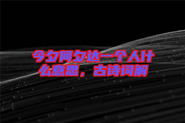 今夕何夕達一個人什么意思，古詩詞解