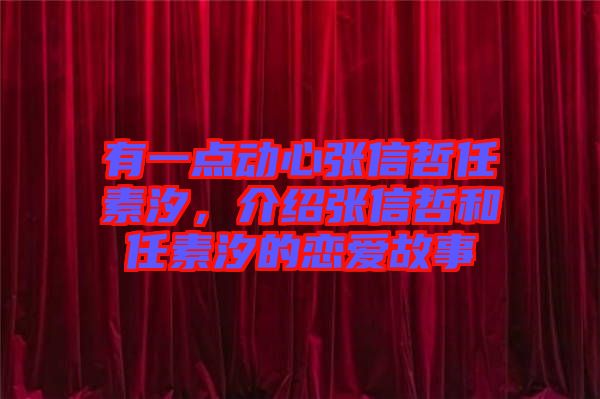 有一點動心張信哲任素汐，介紹張信哲和任素汐的戀愛故事