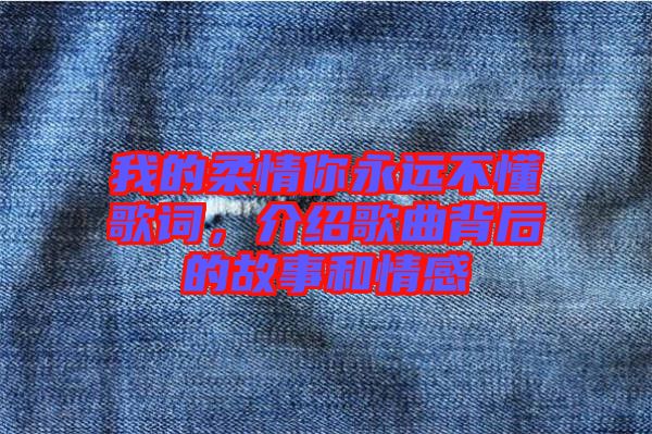 我的柔情你永遠不懂歌詞，介紹歌曲背后的故事和情感
