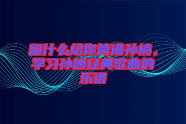 留什么給你簡譜孫楠，學習孫楠經典歌曲的樂譜