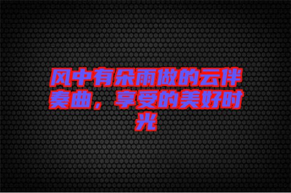 風(fēng)中有朵雨做的云伴奏曲，享受的美好時(shí)光