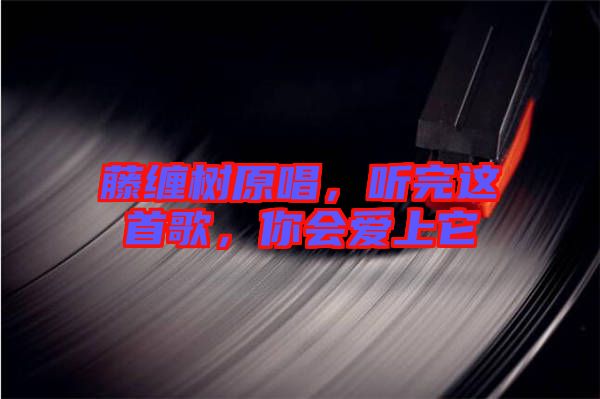 藤纏樹原唱，聽完這首歌，你會愛上它