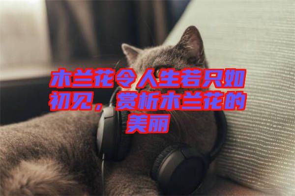 木蘭花令人生若只如初見，賞析木蘭花的美麗