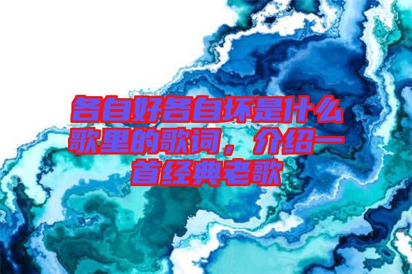 各自好各自壞是什么歌里的歌詞，介紹一首經(jīng)典老歌