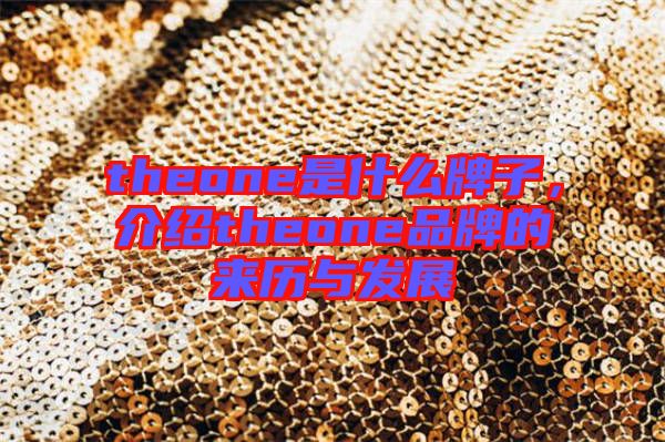 theone是什么牌子，介紹theone品牌的來歷與發展