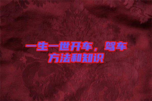 一生一世開車，駕車方法和知識(shí)