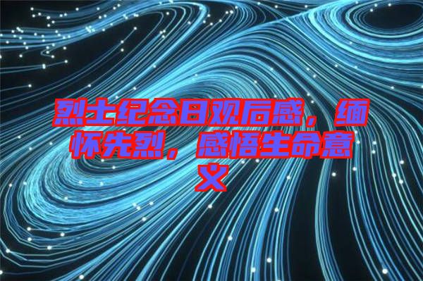 烈士紀念日觀后感，緬懷先烈，感悟生命意義