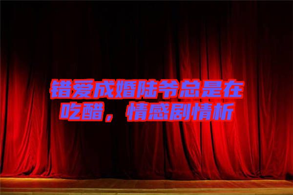 錯愛成婚陸爺總是在吃醋，情感劇情析