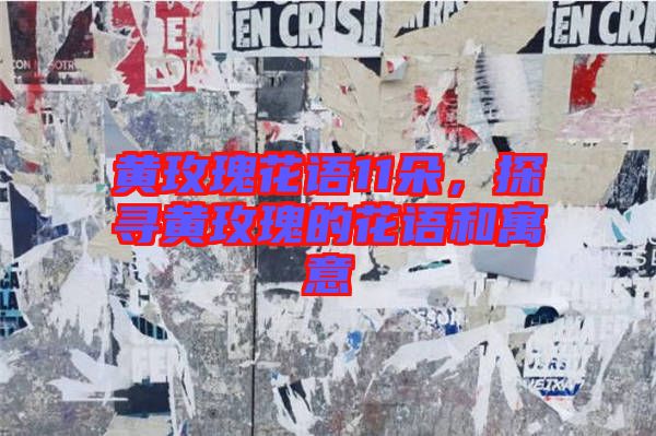 黃玫瑰花語11朵，探尋黃玫瑰的花語和寓意