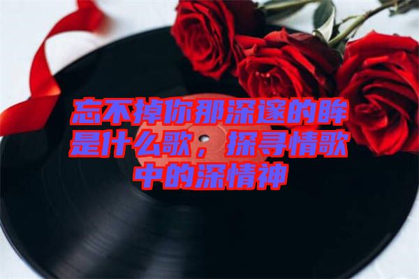忘不掉你那深邃的眸是什么歌，探尋情歌中的深情神