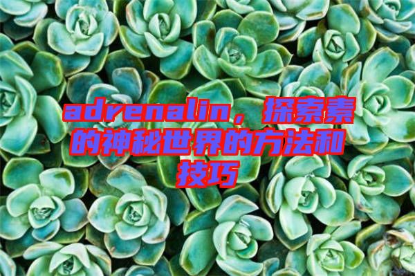 adrenalin，探索素的神秘世界的方法和技巧