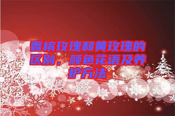 香檳玫瑰和黃玫瑰的區別，顏色花語及養護方法