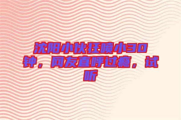 沈陽(yáng)小伙狂噴小30鐘，網(wǎng)友直呼過(guò)癮，試聽(tīng)