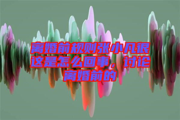 離婚前規則張小凡很這是怎么回事，討論離婚前的