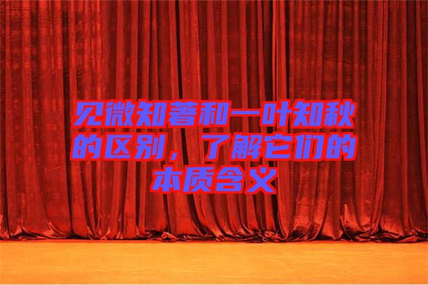 見微知著和一葉知秋的區別，了解它們的本質含義