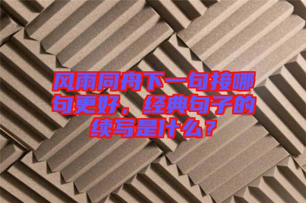 風雨同舟下一句接哪句更好，經典句子的續寫是什么？