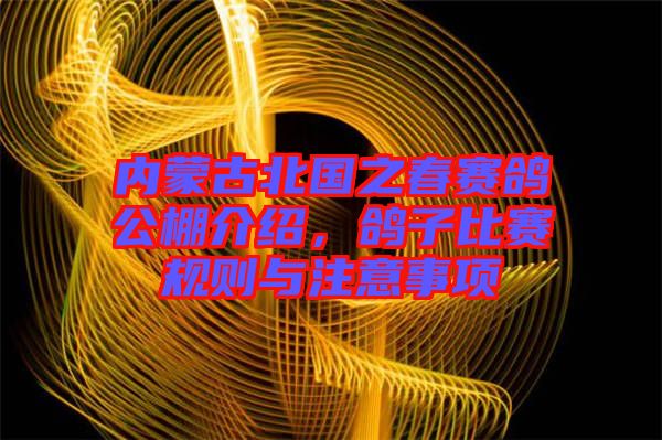 內蒙古北國之春賽鴿公棚介紹，鴿子比賽規則與注意事項