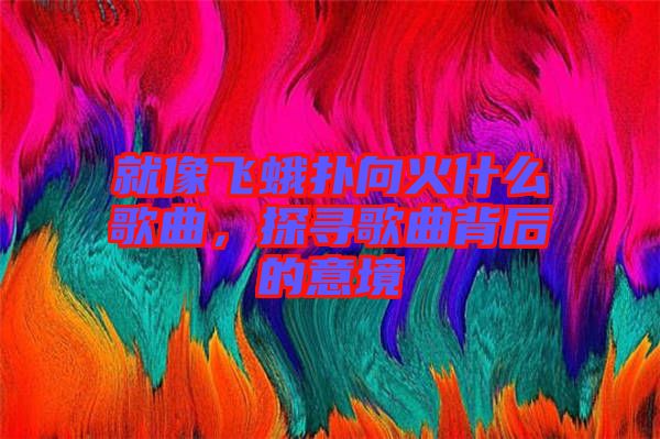 就像飛蛾撲向火什么歌曲，探尋歌曲背后的意境