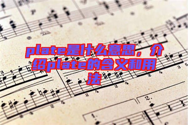plate是什么意思，介紹plate的含義和用法