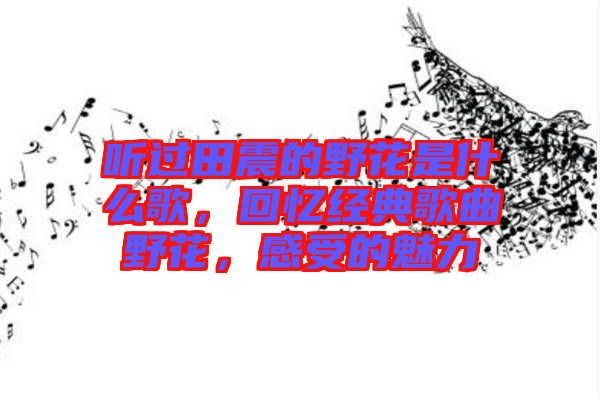 聽過田震的野花是什么歌，回憶經典歌曲野花，感受的魅力