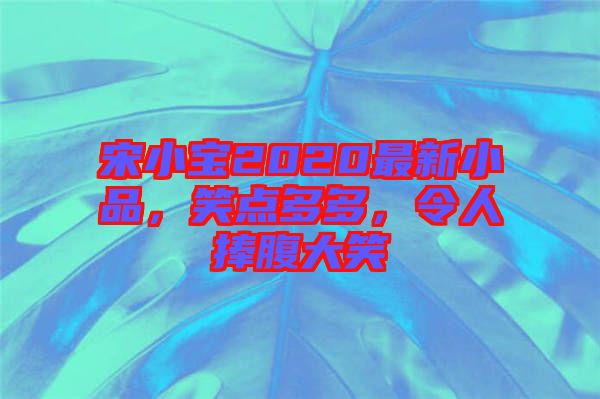 宋小寶2020最新小品，笑點多多，令人捧腹大笑