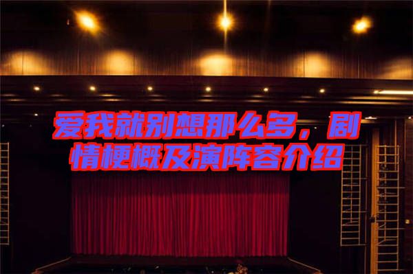 愛我就別想那么多，劇情梗概及演陣容介紹