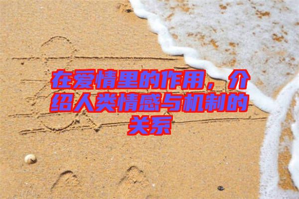 在愛情里的作用，介紹人類情感與機制的關系