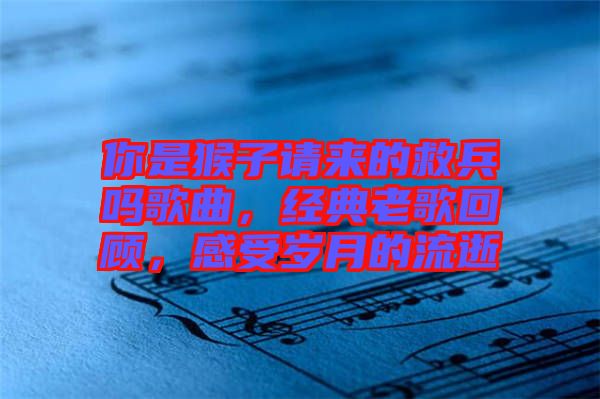 你是猴子請來的救兵嗎歌曲，經典老歌回顧，感受歲月的流逝