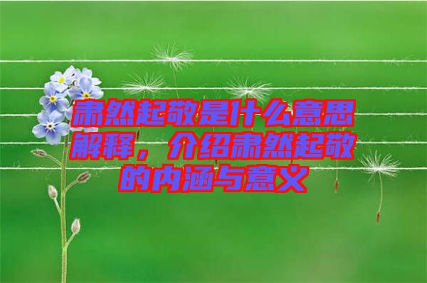 肅然起敬是什么意思解釋，介紹肅然起敬的內涵與意義