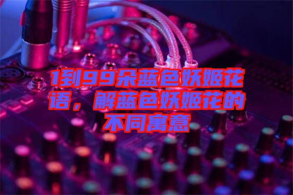 1到99朵藍(lán)色妖姬花語，解藍(lán)色妖姬花的不同寓意