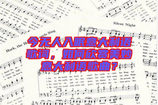 今無(wú)人入眠意大利語(yǔ)歌詞，如何欣賞美妙意大利語(yǔ)歌曲？