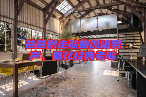 爸爸別走歌曲原唱男聲，回憶經典老歌