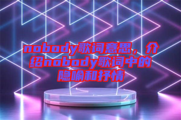 nobody歌詞意思，介紹nobody歌詞中的隱喻和抒情