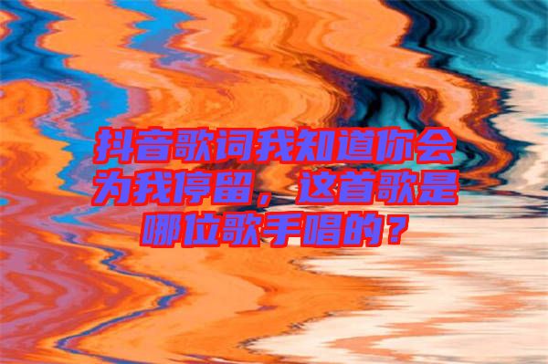 抖音歌詞我知道你會為我停留，這首歌是哪位歌手唱的？