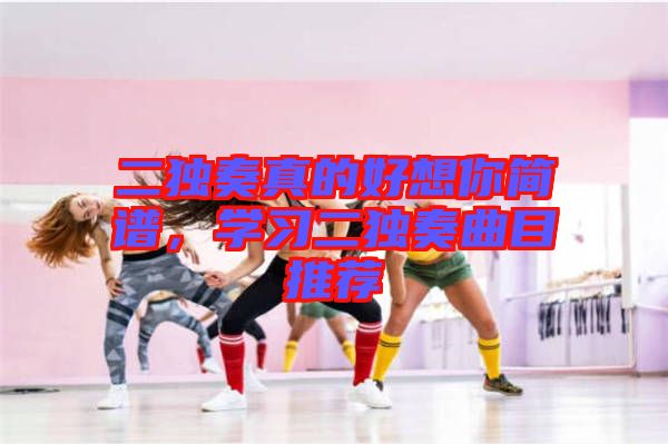 二獨奏真的好想你簡譜，學習二獨奏曲目推薦