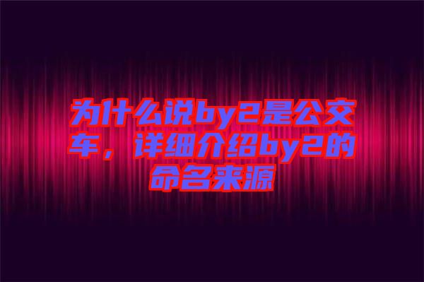 為什么說by2是公交車，詳細介紹by2的命名來源