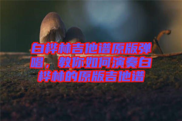白樺林吉他譜原版彈唱，教你如何演奏白樺林的原版吉他譜