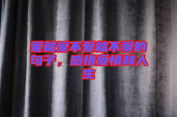 愛就愛不愛就不愛的句子，感悟愛情和人生