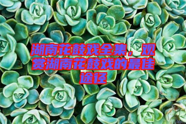 湖南花鼓戲全集，觀賞湖南花鼓戲的最佳途徑